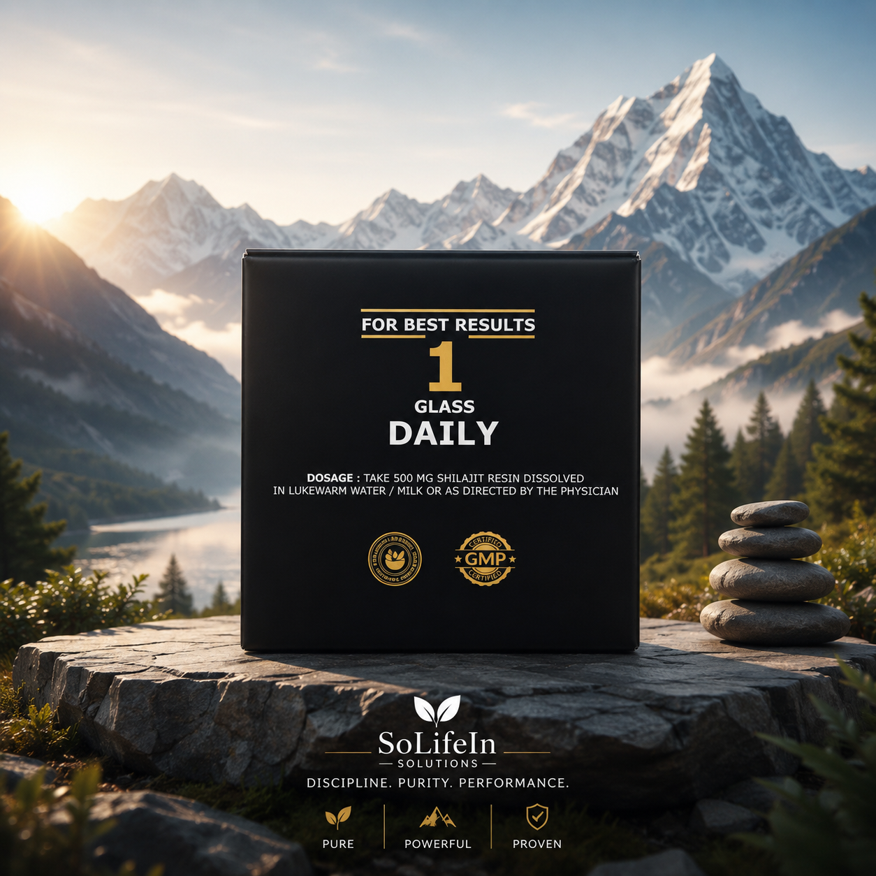 Himalayan Shilajit Pure Resin – 20g